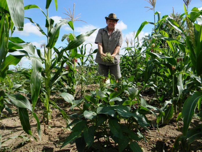 Agricultura familiar