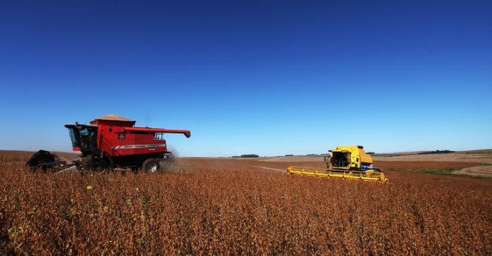 Agricultura
