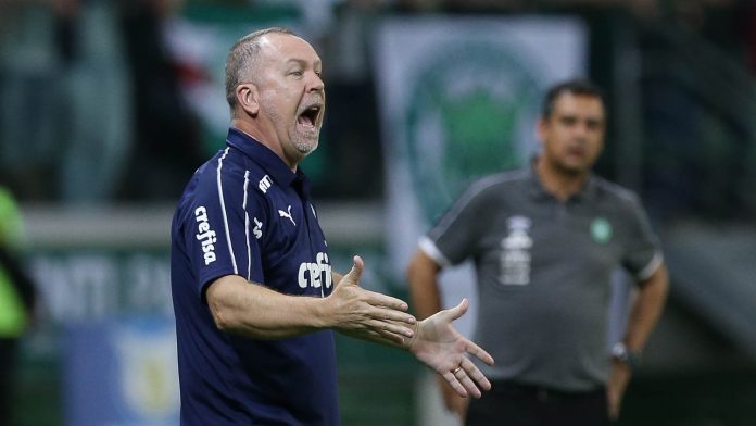 Palmeiras