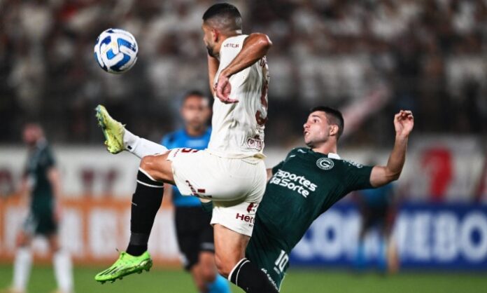 goias-sula-2