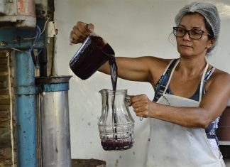 Após polêmica, OEI libera Açaí de fornecedores registrados na COP30