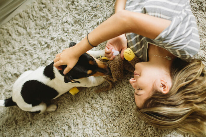 Pet2