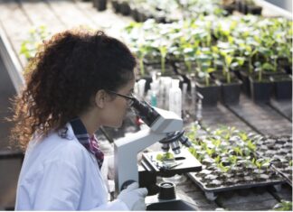 Sudene divulga resultado da primeira fase de edital voltado para jovens