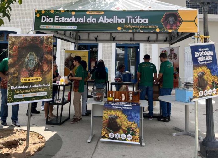 Melhodetiuba1