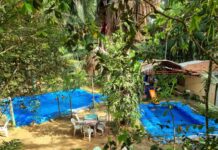 Circuito Agroturismo SLZ mostra novas experiências e a força do turismo rural na Ilha