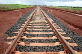 Flavio Dino pede vista e suspende votação sobre construção de Ferrogrão
