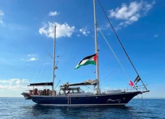 Dez brasileiros estão entre capturados na flotilha de ajuda a Gaza