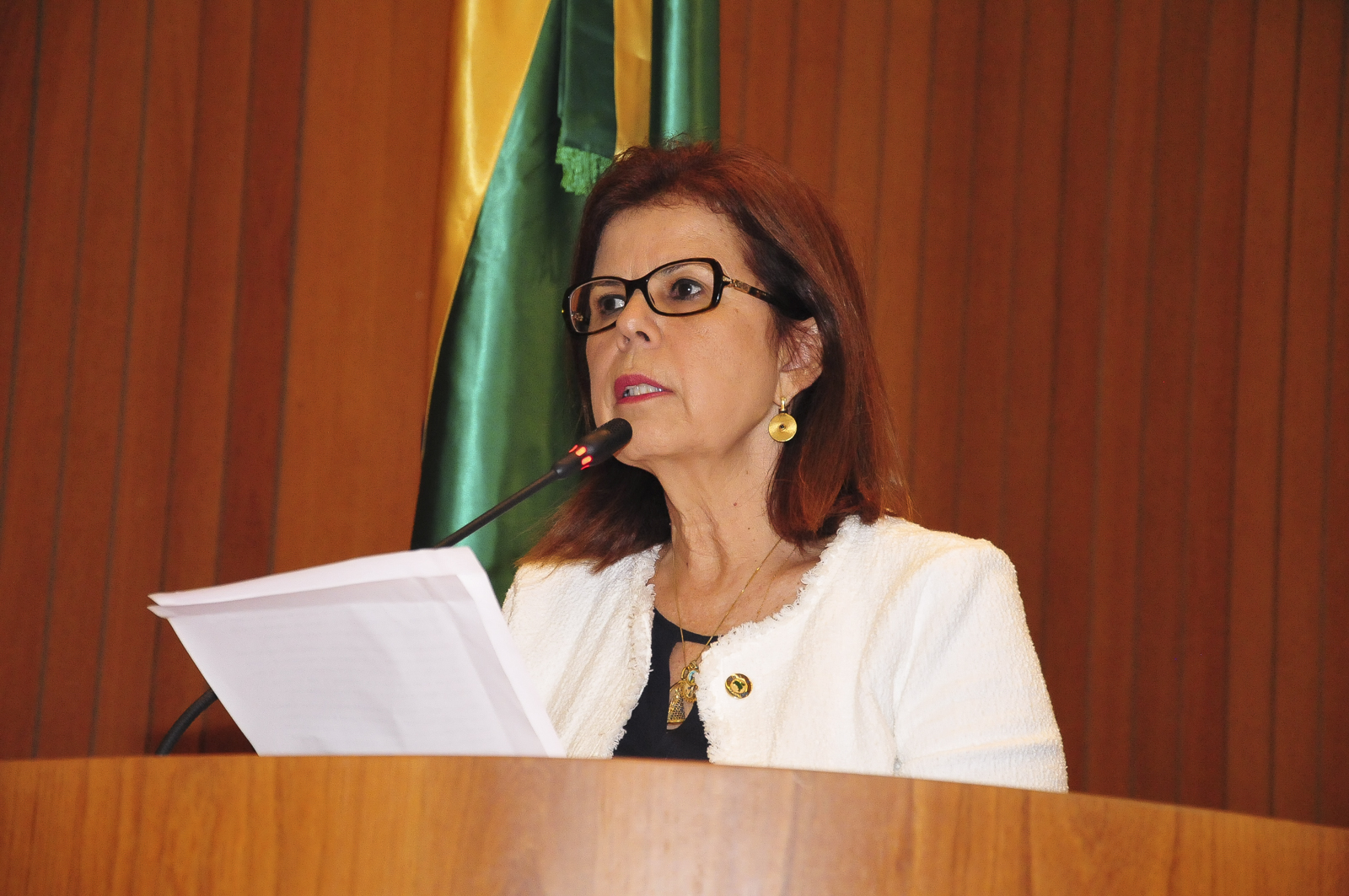 Deputada Helena Duailibe solicita sessão solene na Assembleia para discutir  a Campanha da Fraternidade 2022 | Maranhão Hoje